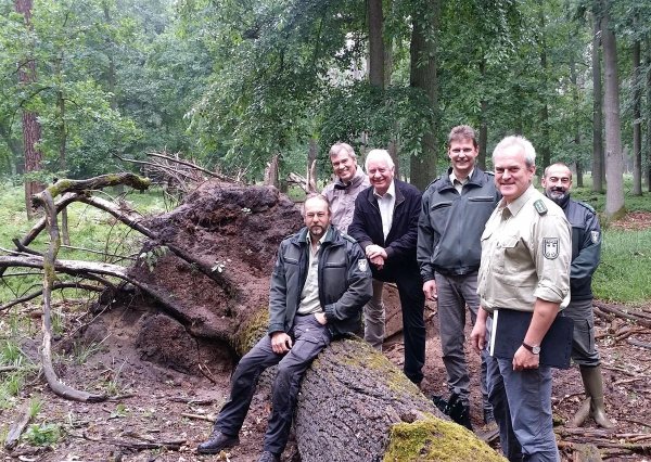 Copyright AiF / Deutsche Bundesstiftung Umwelt Bild zum Eintrag (85680-160)