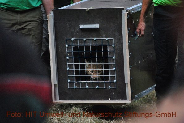 Copyright AiF HIT Umwelt- und Naturschutz Stiftungs-GmbH / Christoph Heider Bild zum Eintrag (85747-160)