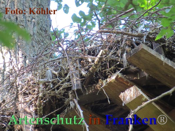 Copyright AiF - Thomas Köhler Bild zum Eintrag (85786-160)