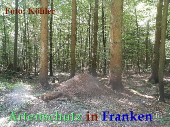 Copyright AiF - Thomas Köhler Bild zum Eintrag (86001-160)