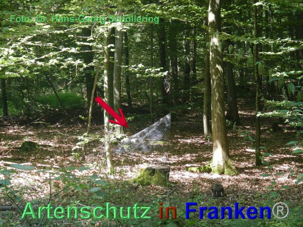 Copyright AiF Dr. Hans.Georg Schöllering Bild zum Eintrag (86006-160)