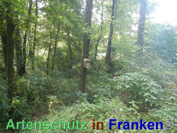 Bild zum Eintrag (86058-160)