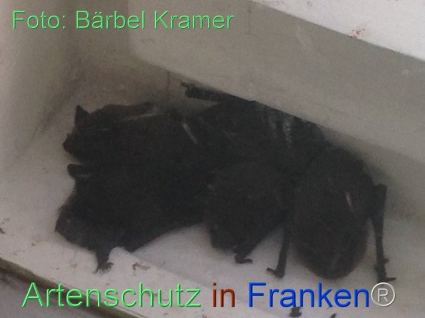 Copyright AiF Bärbel Kramer Bild zum Eintrag (86087-160)