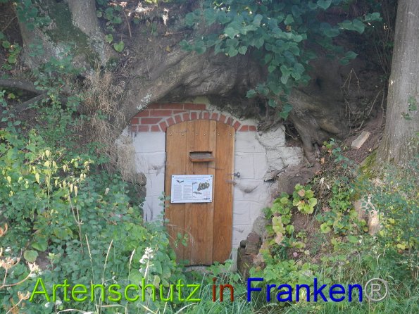 © Artenschutz in Franken® Bild zum Eintrag (86136-160)