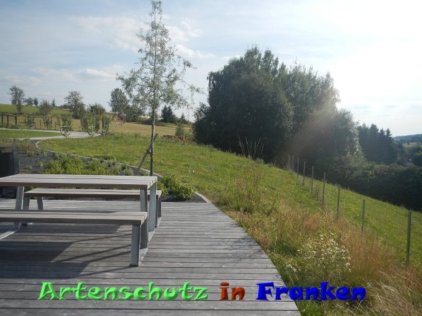 Bild zum Eintrag (86444-160)