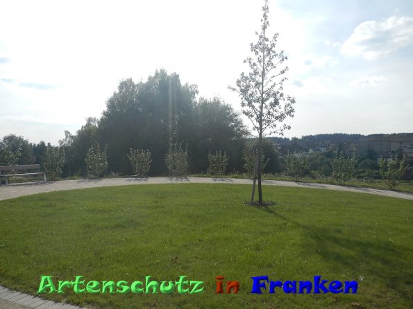 Bild zum Eintrag (86458-160)