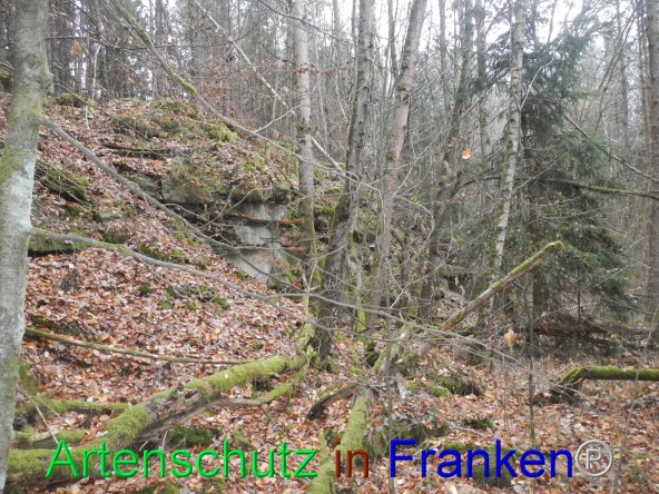 Bild zum Eintrag (86534-160)