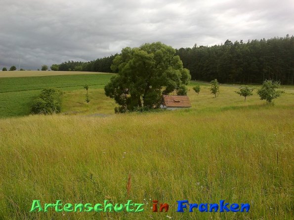 Bild zum Eintrag (86547-160)