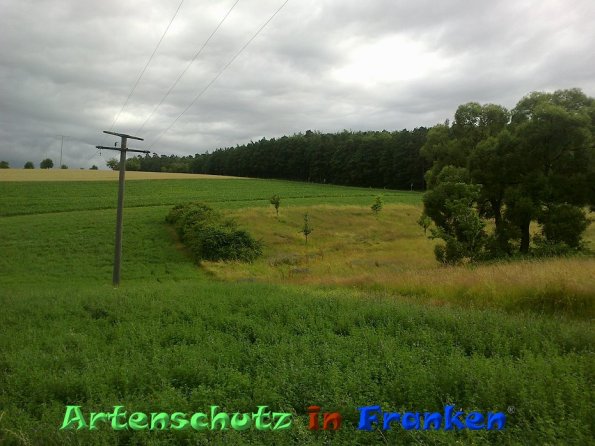 Bild zum Eintrag (86548-160)