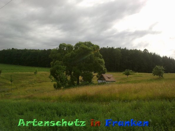 Bild zum Eintrag (86549-160)