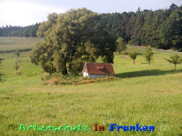 Bild zum Eintrag (86550-160)