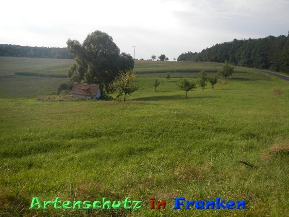 Bild zum Eintrag (86553-160)