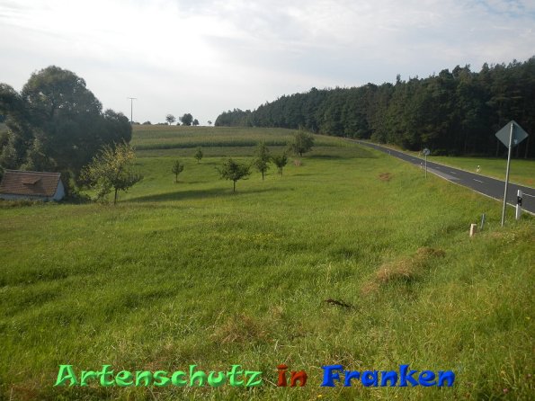 Bild zum Eintrag (86554-160)