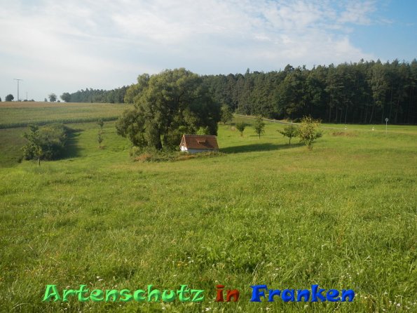 Bild zum Eintrag (86556-160)