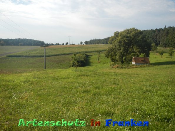 Bild zum Eintrag (86557-160)