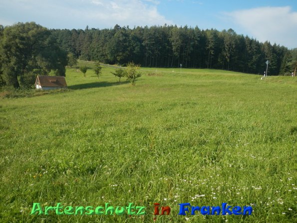 Bild zum Eintrag (86558-160)