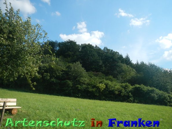 Bild zum Eintrag (86572-160)