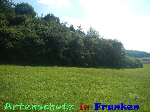 Bild zum Eintrag (86585-160)