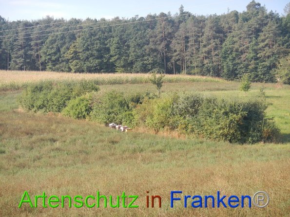 Bild zum Eintrag (86812-160)