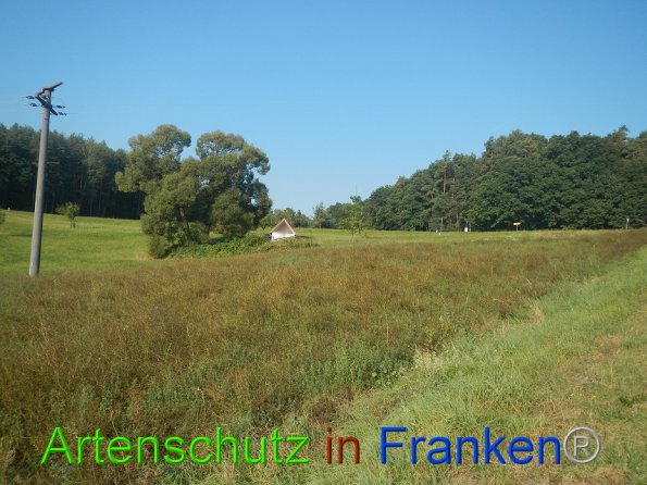 Bild zum Eintrag (86815-160)