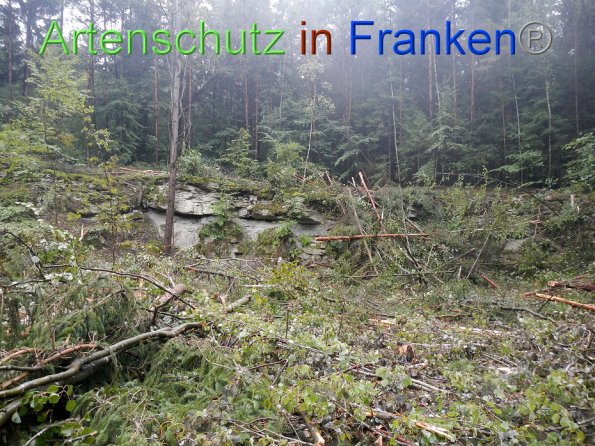 Bild zum Eintrag (86997-160)