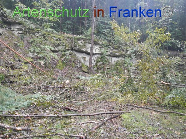 Bild zum Eintrag (87003-160)