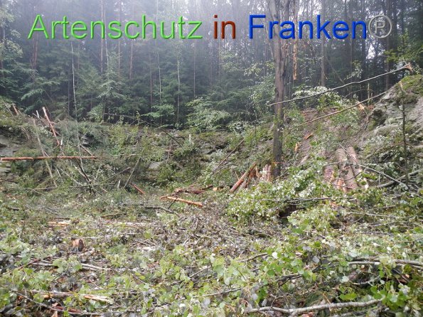 Bild zum Eintrag (87008-160)
