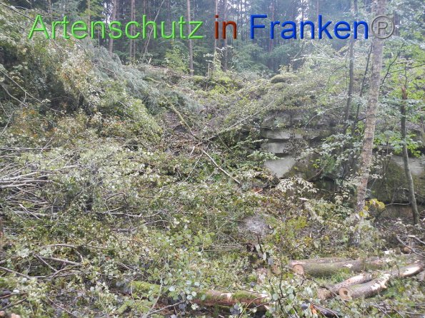 Bild zum Eintrag (87010-160)