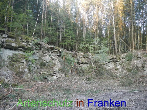 Bild zum Eintrag (87095-160)