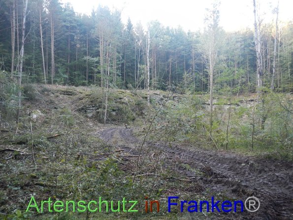 Bild zum Eintrag (87098-160)