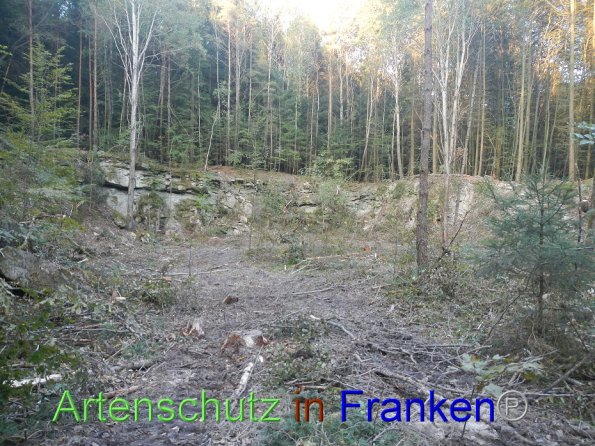 Bild zum Eintrag (87101-160)