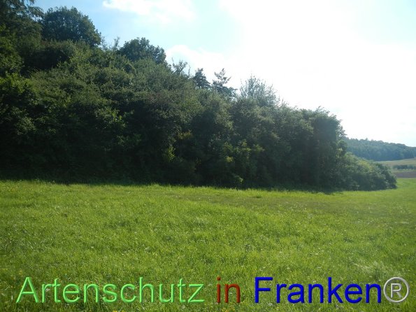 Bild zum Eintrag (87117-160)