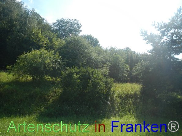 Bild zum Eintrag (87118-160)