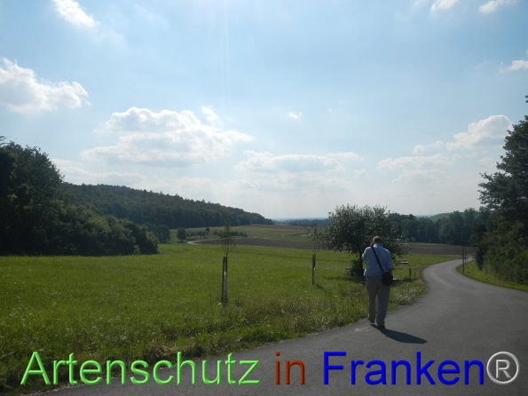 Bild zum Eintrag (87133-160)