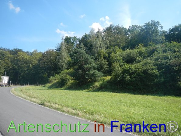 Bild zum Eintrag (87136-160)