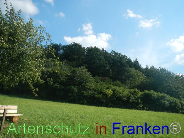 Bild zum Eintrag (87137-160)