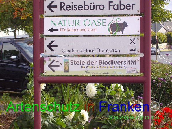 Bild zum Eintrag (87247-160)