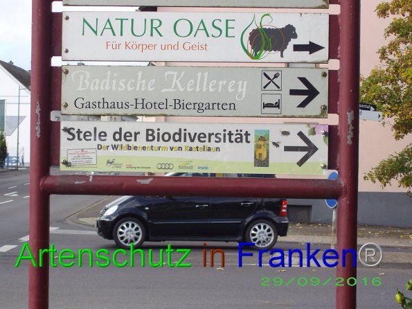 Bild zum Eintrag (87248-160)