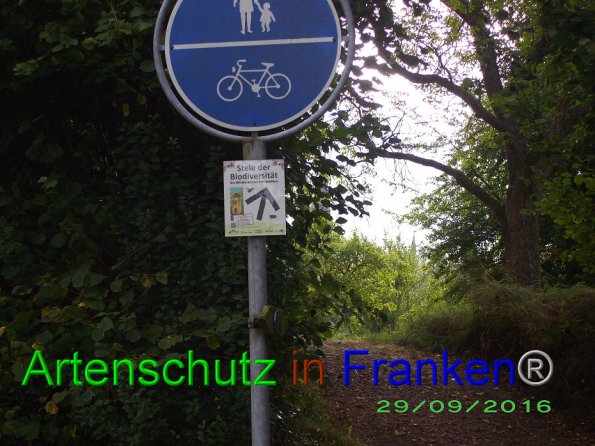Copyright AiF Stadt Kastellaun Bild zum Eintrag (87252-160)