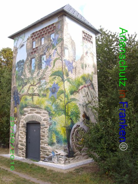 Copyright AiF Stadt Kastellaun Bild zum Eintrag (87254-160)