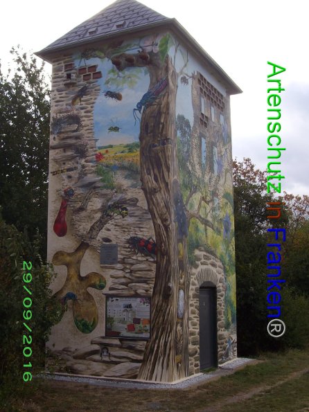 Copyright AiF Stadt Kastellaun Bild zum Eintrag (87255-160)