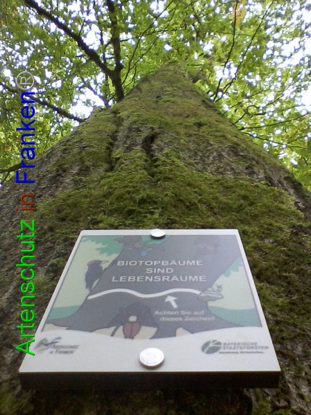 Bild zum Eintrag (87293-160)