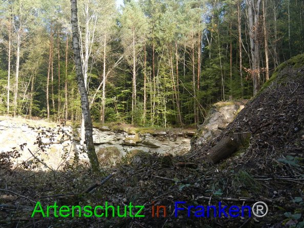 Bild zum Eintrag (87565-160)