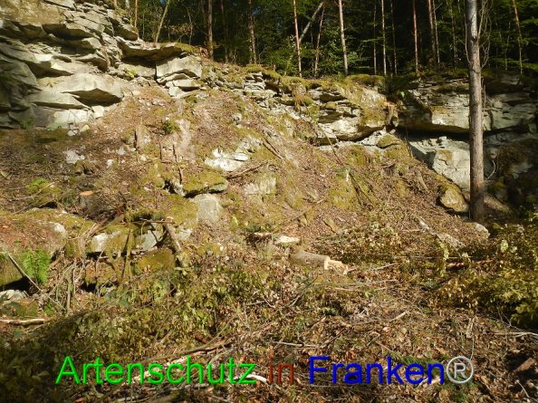 Bild zum Eintrag (87569-160)