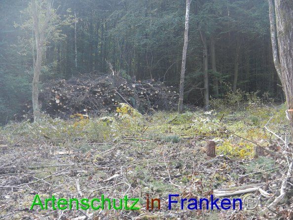 Bild zum Eintrag (87583-160)