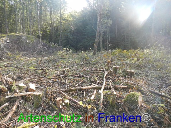 Bild zum Eintrag (87589-160)