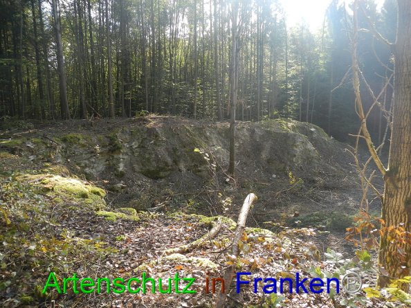 Bild zum Eintrag (87590-160)