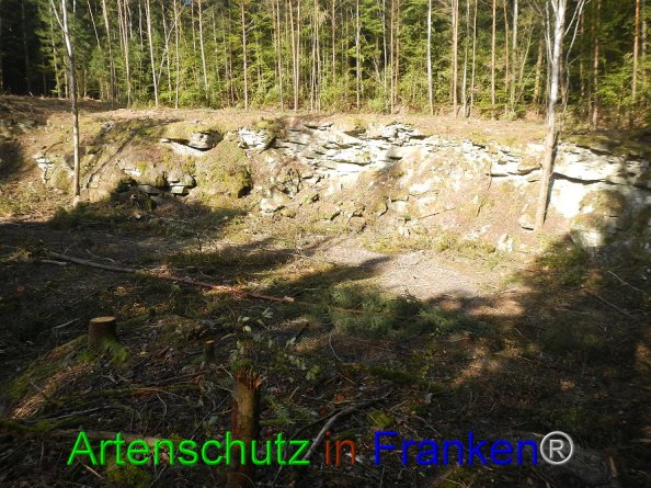 Bild zum Eintrag (87599-160)