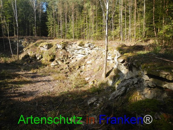 Bild zum Eintrag (87601-160)