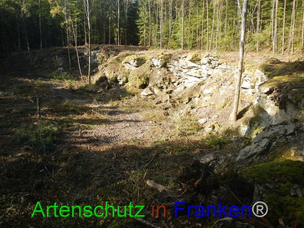 Bild zum Eintrag (87602-160)